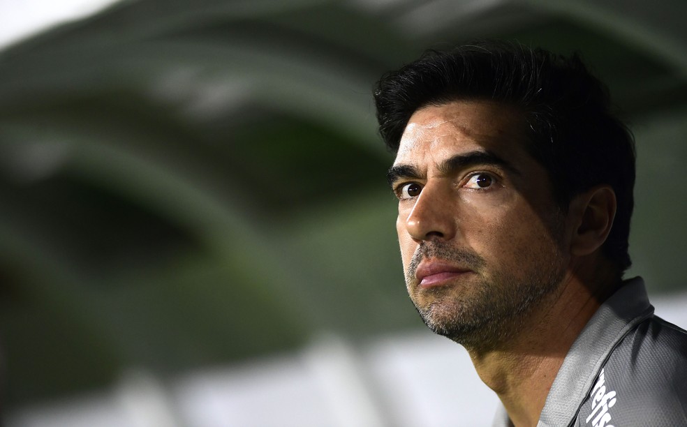 Palmeiras x Botafogo-SP, Abel Ferreira — Foto: Marcos Ribolli