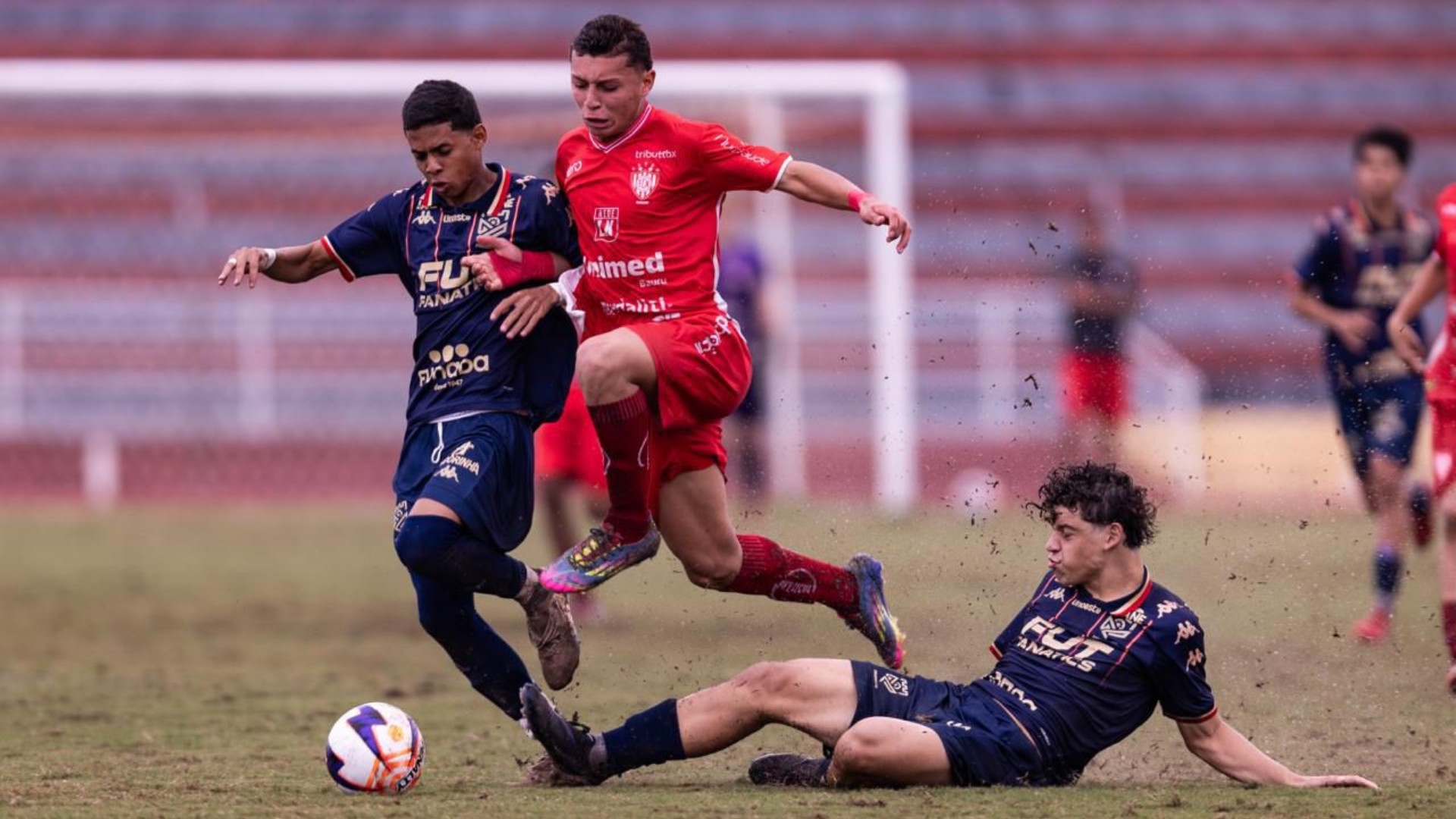 imagem