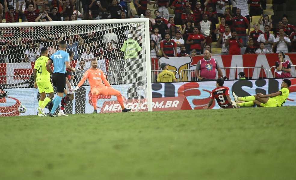 Pedro marca o terceiro gol do Flamengo contra o Palmeiras — Foto: André Durão