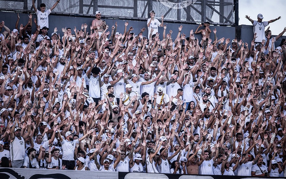 Torcida do Santos na Vila Belmiro no clássico contra o Palmeiras, pela final do Campeonato Paulista — Foto: Raul Baretta/ Santos FC