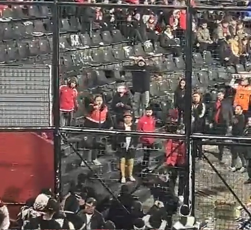 Torcedores do Newell