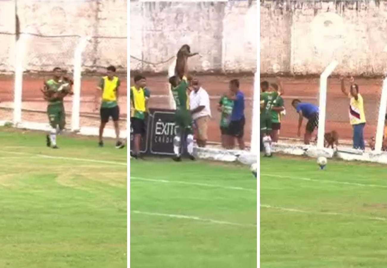 Cãozinho invade gramado e rouba a cena no Campeonato Tocantinense!