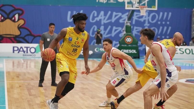 Basket americana montante sale