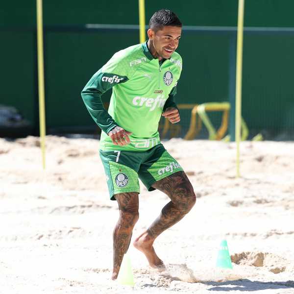 Jogadores se recuperam, mas Palmeiras aguarda retorno de Dudu