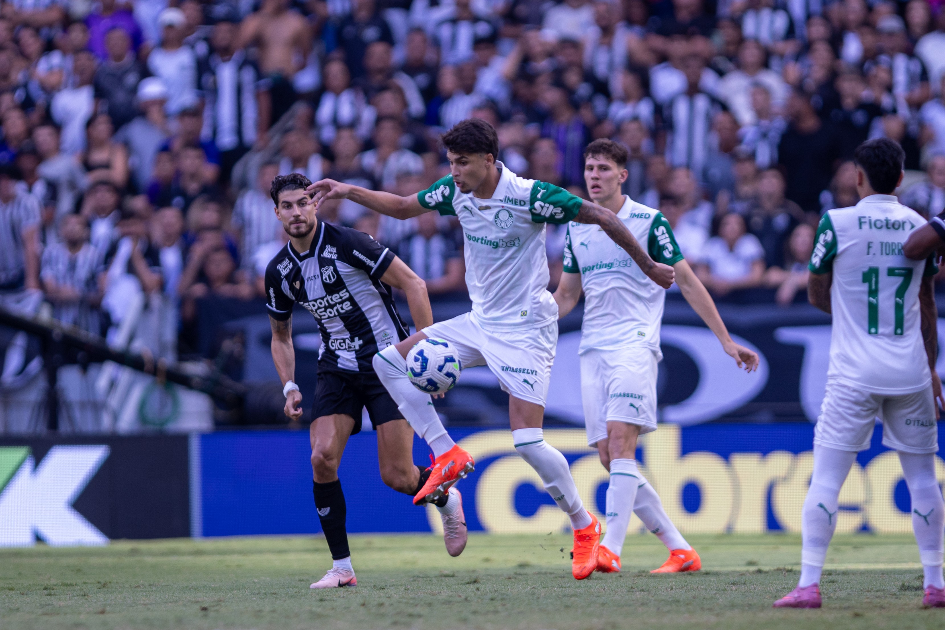 Palmeiras reserva surpreende, vira o jogo e se destaca em vitória emocionante no Allianz Parque