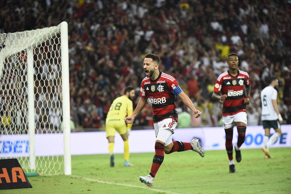 Everton Ribeiro comemora gola&ccedil;o pelo Flamengo &mdash; Foto: Andr&eacute; Dur&atilde;o