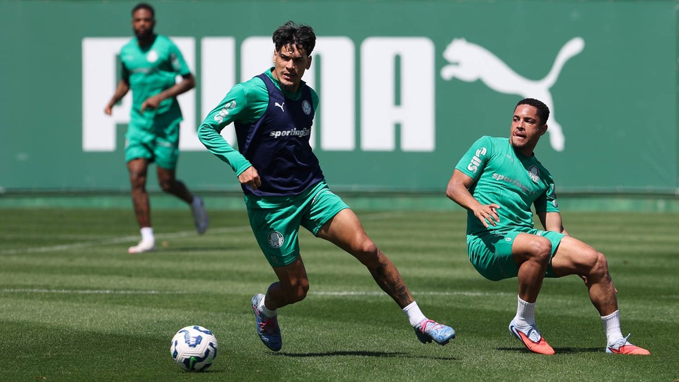 Escalação: convocados treinam, e Palmeiras tem elenco completo com voltas de Veiga e Mauricio