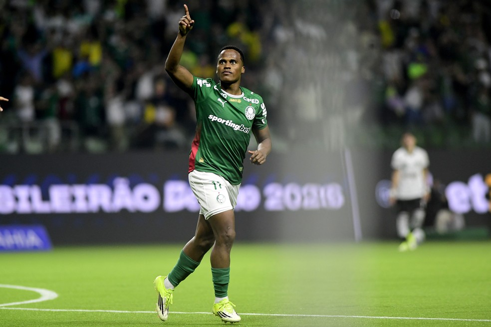 Arias comemora gol do Palmeiras contra o Botafogo — Foto: Marcos Ribolli
