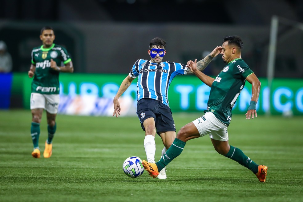 Amanha teremos mto mais doq um Palmeiras x Gremio pela final da CdB. É um  duelo envolvendo quase todo o país. Qual o lado de vcs? : r/futebol