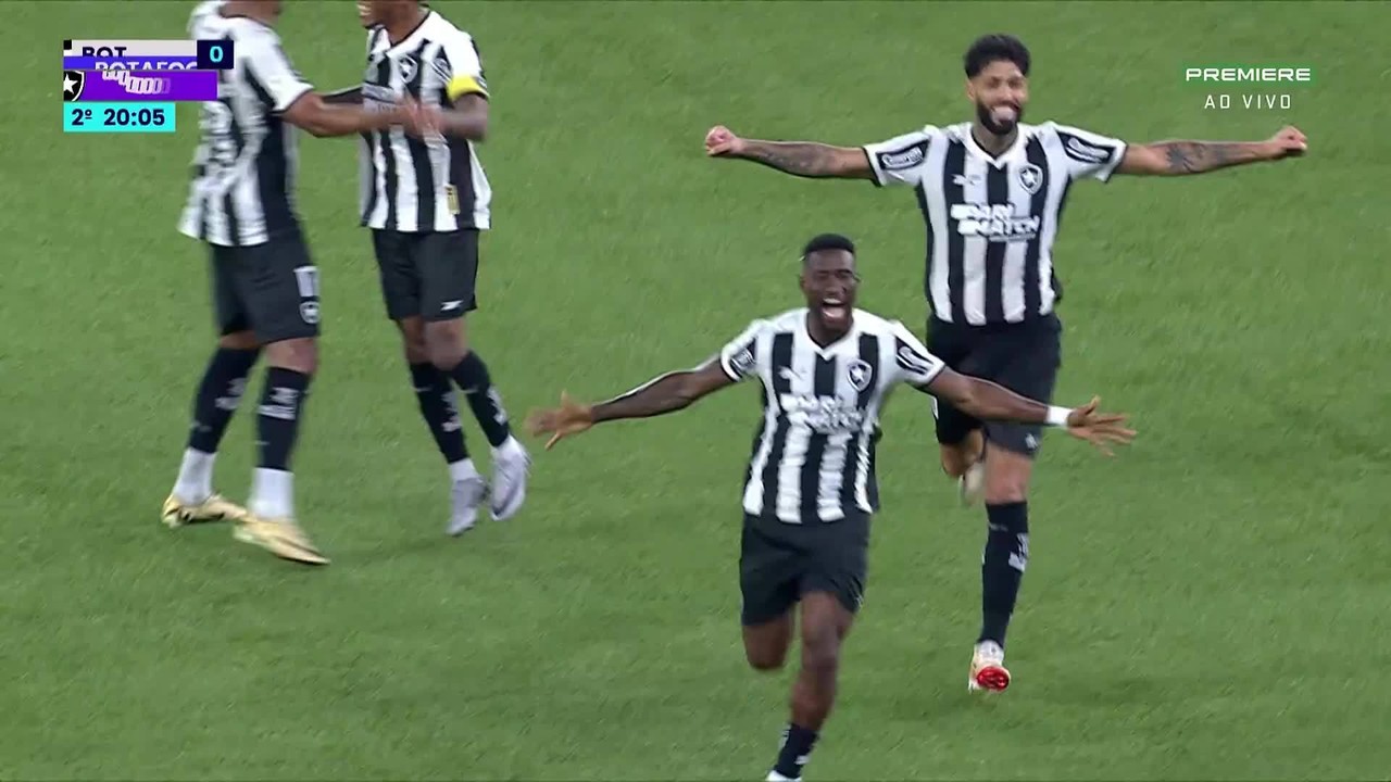 Veja todos os gols feitos pelo Botafogo no Brasileirãosportsbet o que é2024