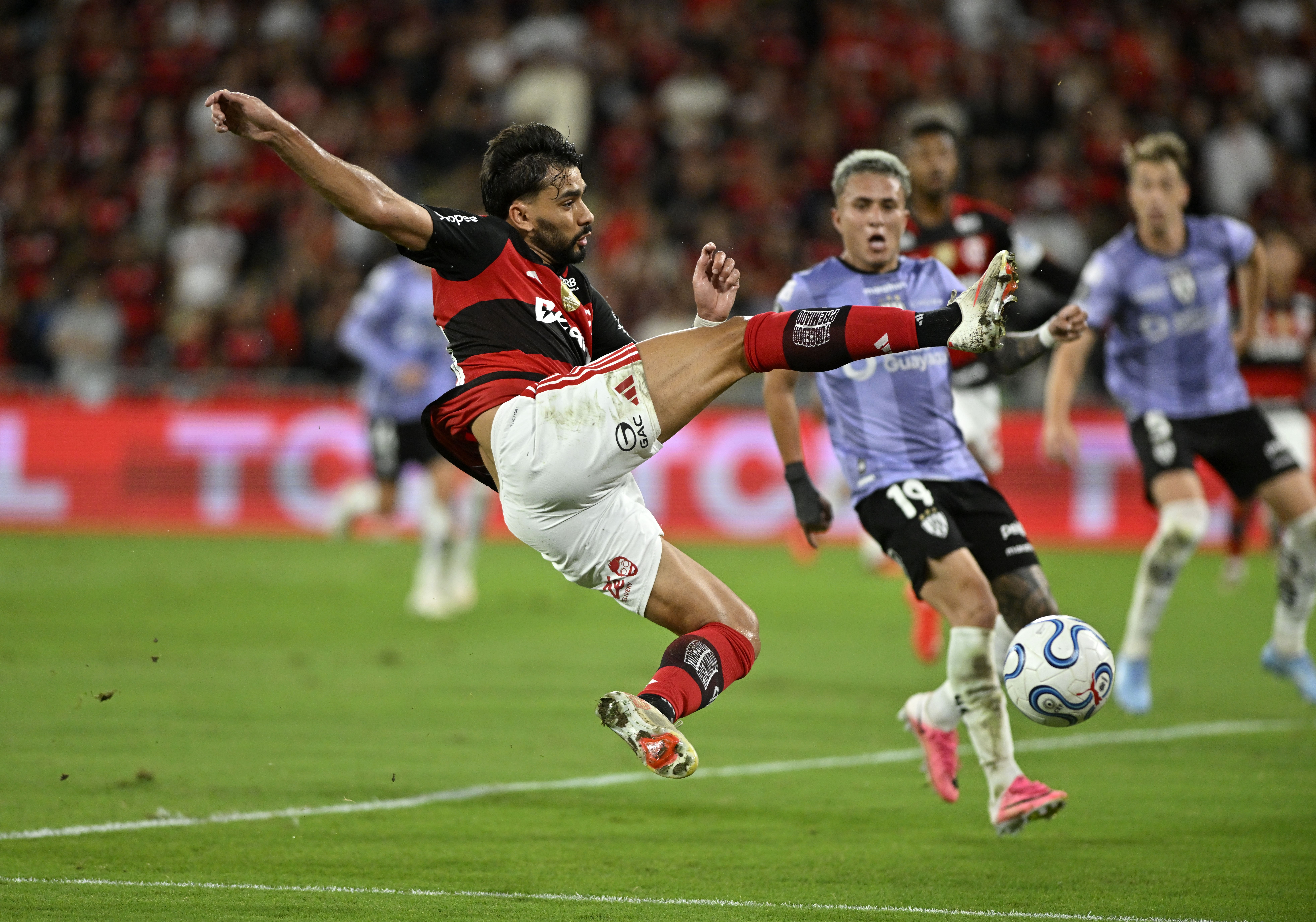 Sem Arrascaeta, Flamengo trabalha opções para volta da Data Fifa; Jorginho também desfalca na Libertadores