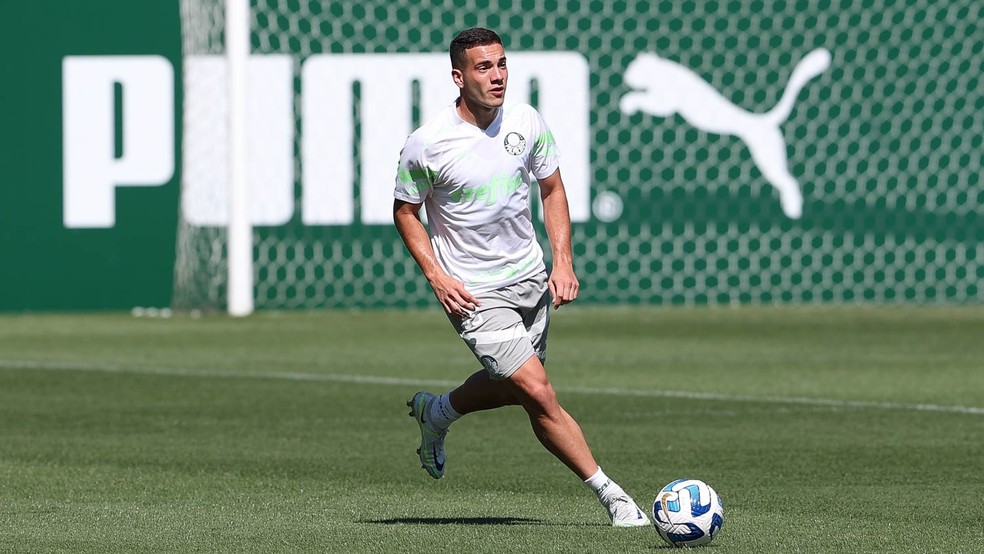 Fabinho tem 21 anos e 630 minutos pelo Palmeiras na temporada — Foto: Cesar Greco/Palmeiras/by Canon