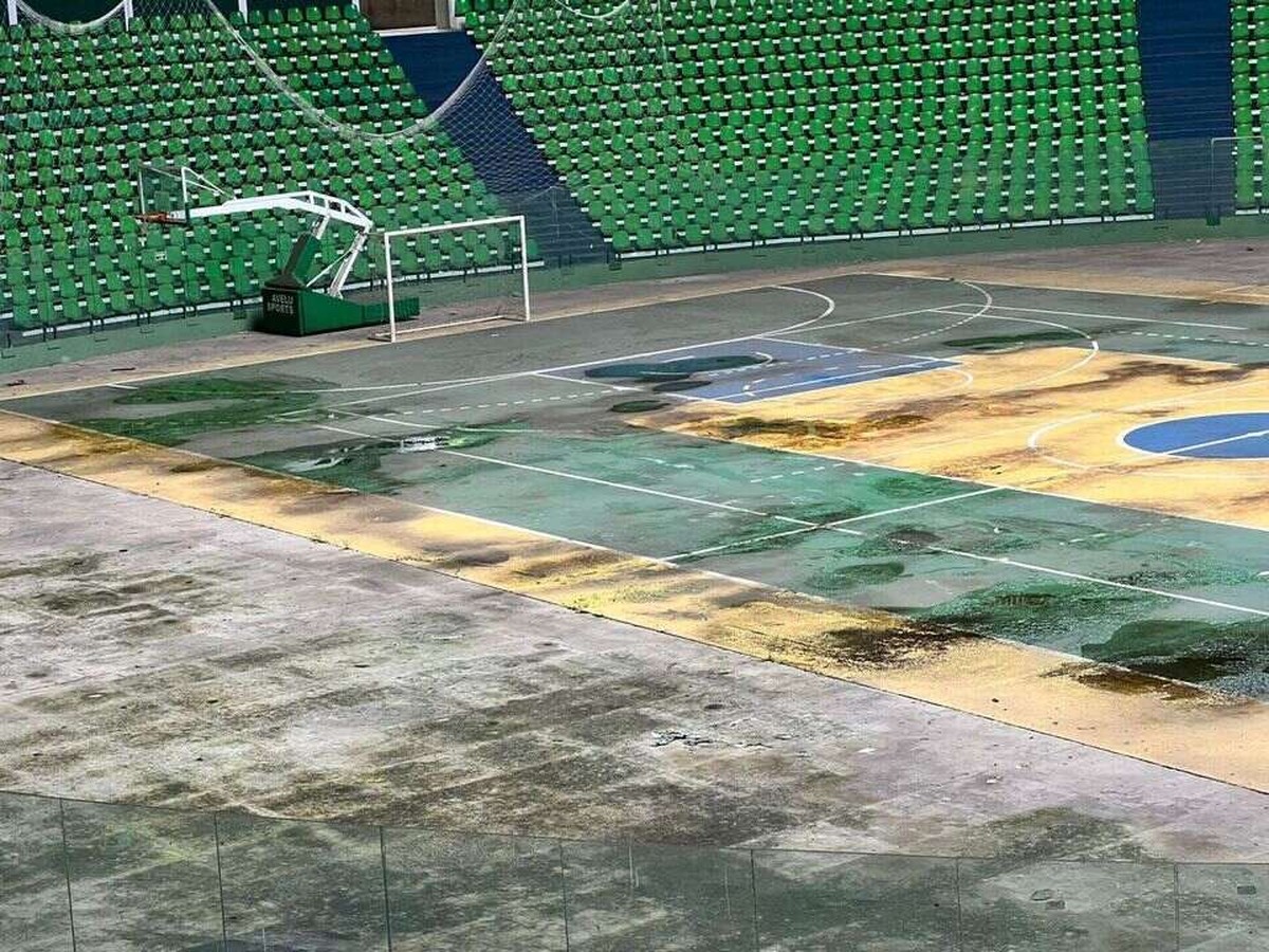 Flamengo Basketball, fernando Ribeiro, novo Basquete Brasil, Bauru