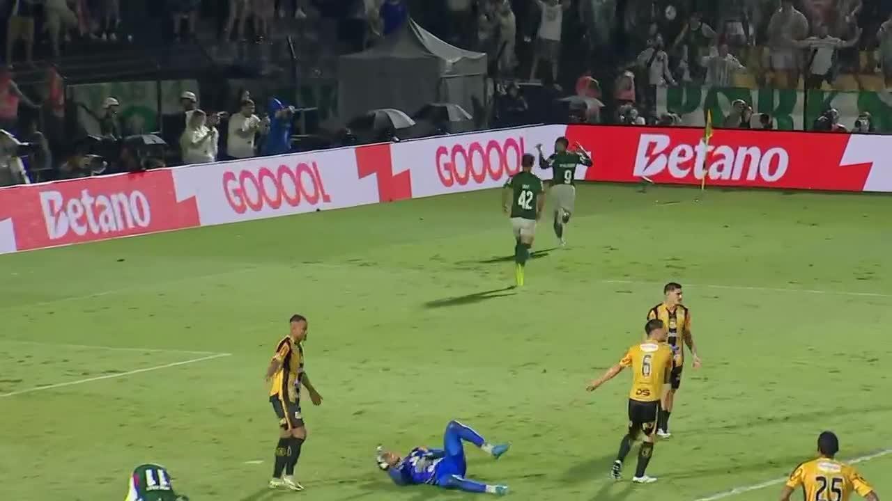 Palmeiras Zomba Rivais Após Conquista do Paulistão: 