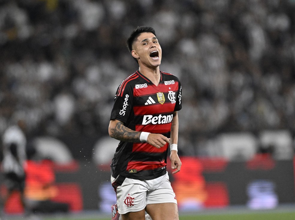 Luiz Arajo comemora gol contra o Botafogo  Foto: Andr Duro