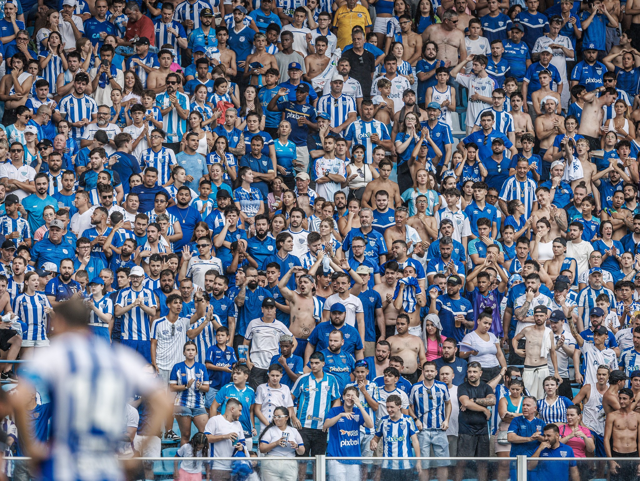 Avaí x Athletico: veja valor dos ingressos na Ressacada