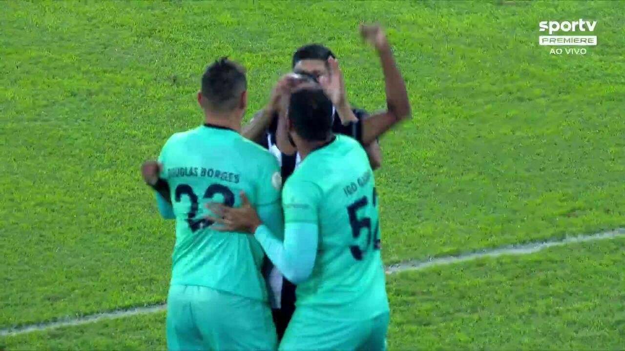 Botafogo 2x0 Athletico: veja os gols e os melhores momentos do jogo da ...