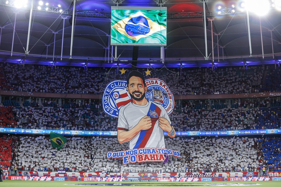 Mosaico em Bahia x Palmeiras — Foto: EC Bahia / Divulgação
