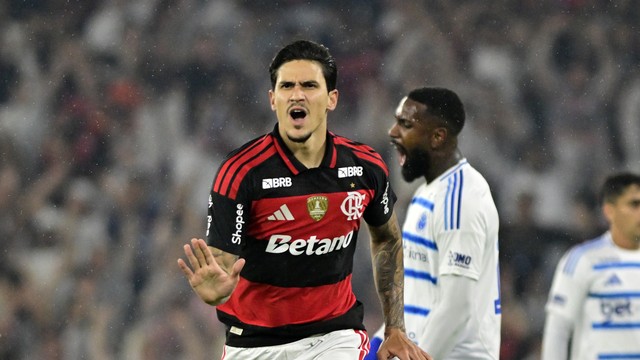 Flamengo vence o Cruzeiro e já pinta entre os quatro primeiros do Brasileirão