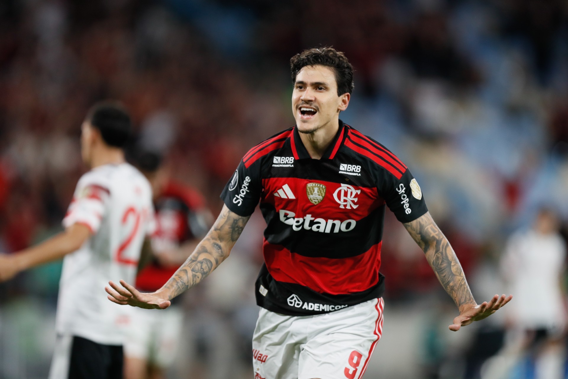 imagem