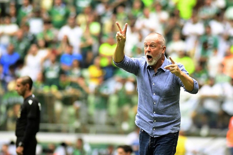 Mano Menezes em Palmeiras x Fluminense, no Brasileiro 2024 — Foto: Marcos Ribolli