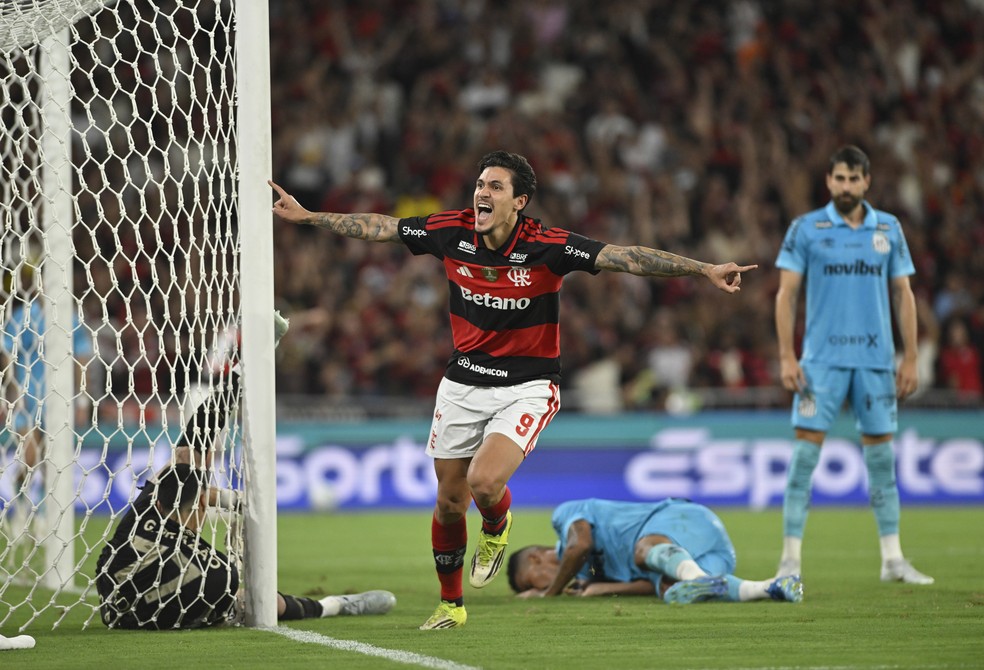 Pedro comemora gol do Flamengo contra o Santos � Foto: Andr� Dur�o / ge