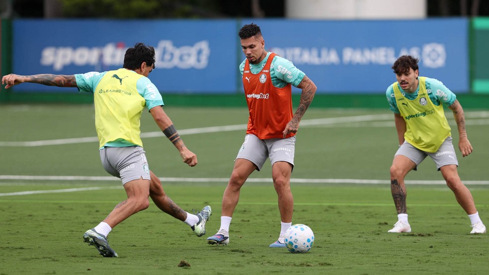 Lateral sofre lesão, desfalca o Palmeiras mas craques ficam próximo de retorno!! Confira