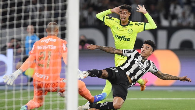 Comentarista analisa erros do Palmeiras durante a partida contra o Botafogo