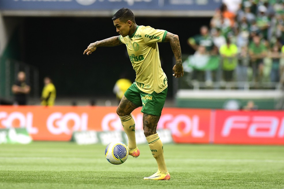 Dudu em Palmeiras x Fluminense — Foto: Marcos Ribolli