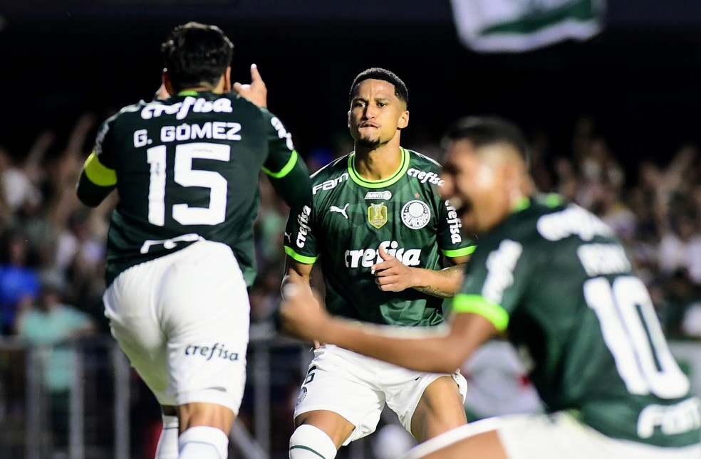 SE Palmeiras on X: ESTAMOS NA FINAL! 💪🐷 Com gols de Murilo e