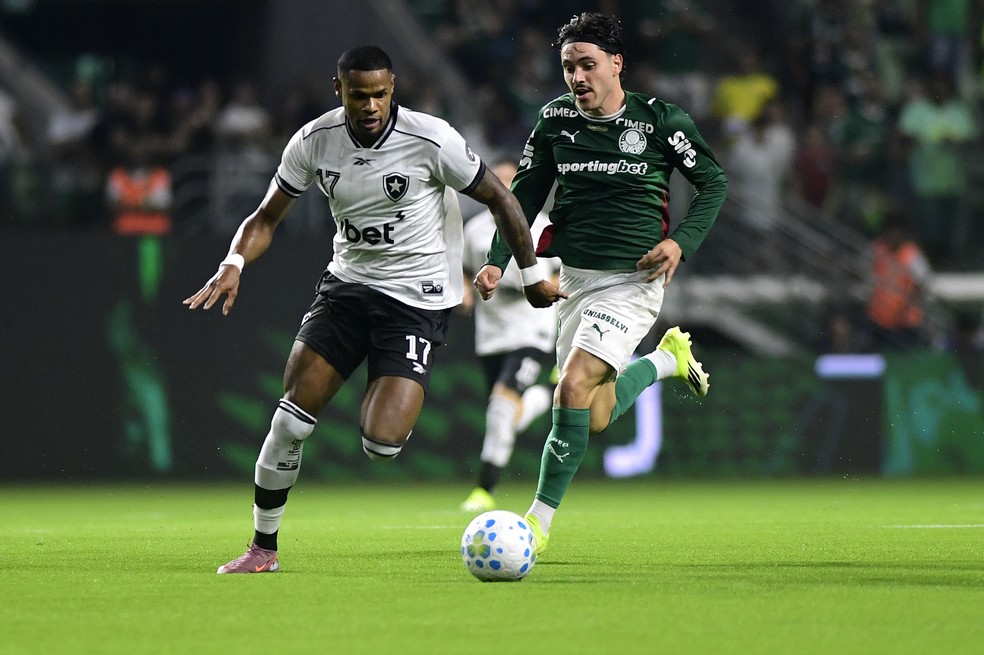 Júnior Santos em Palmeiras x Botafogo — Foto: Marcos Ribolli