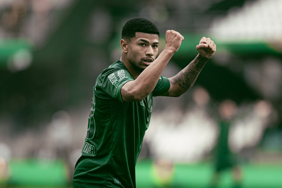PALMEIRAS SEGUE ATIVO NO MERCADO! Clube se movimenta para reforçar ainda mais o elenco!