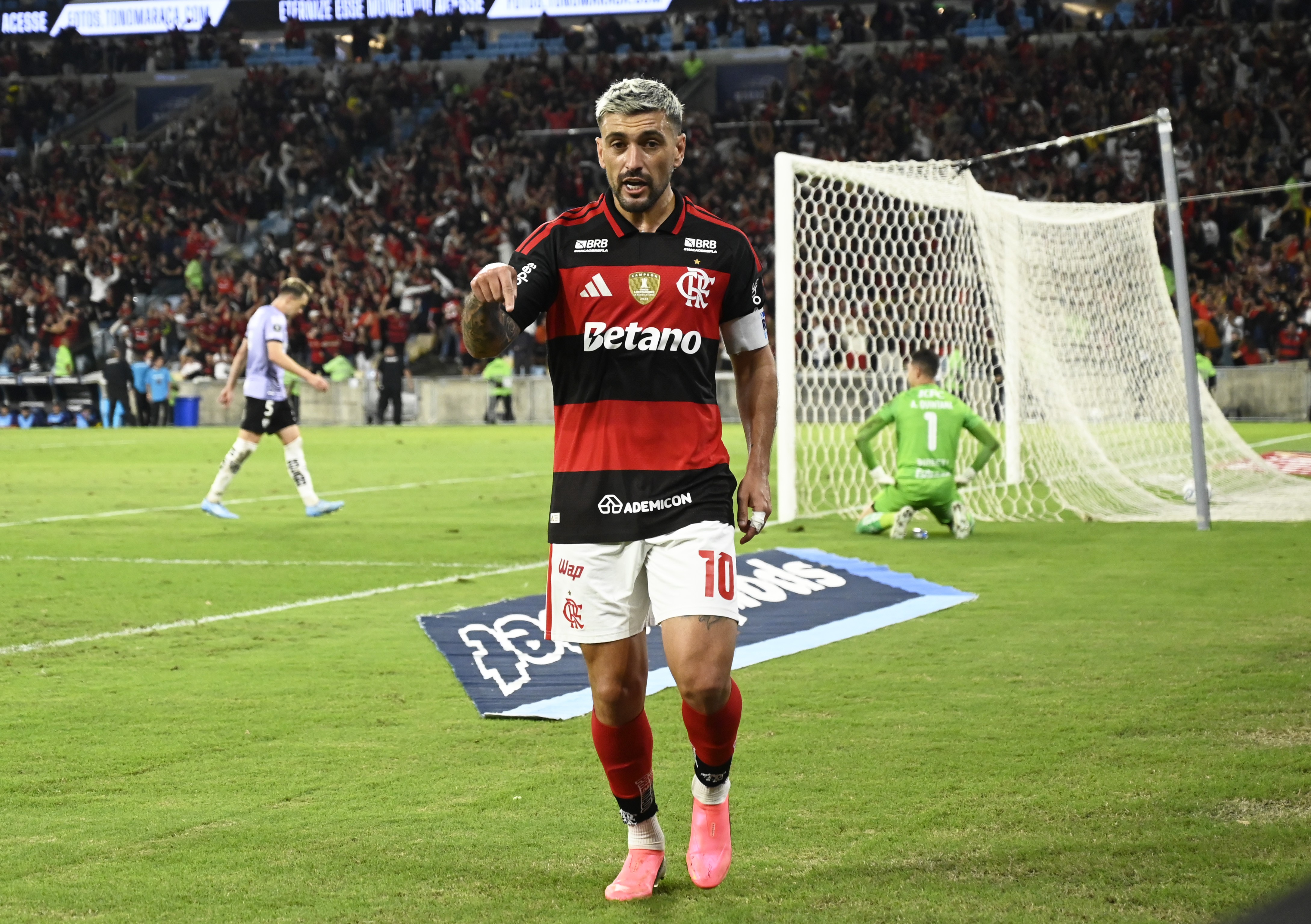 O Flamengo mortal apareceu