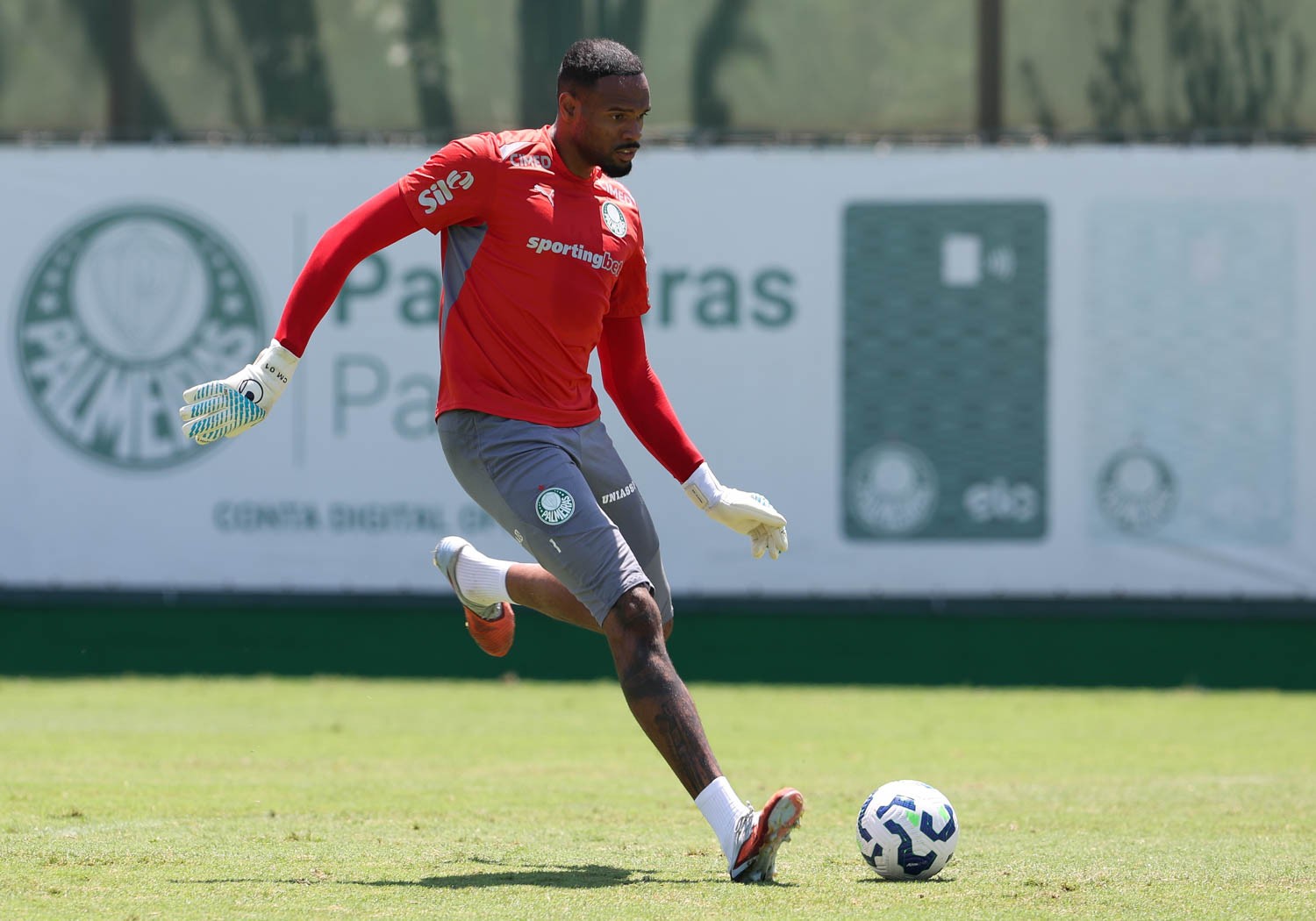 Carlos Miguel analisa 2023 no Palmeiras e projeta futuro: 