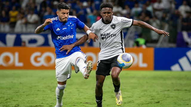 botafogo, cruzeiro, mineirão