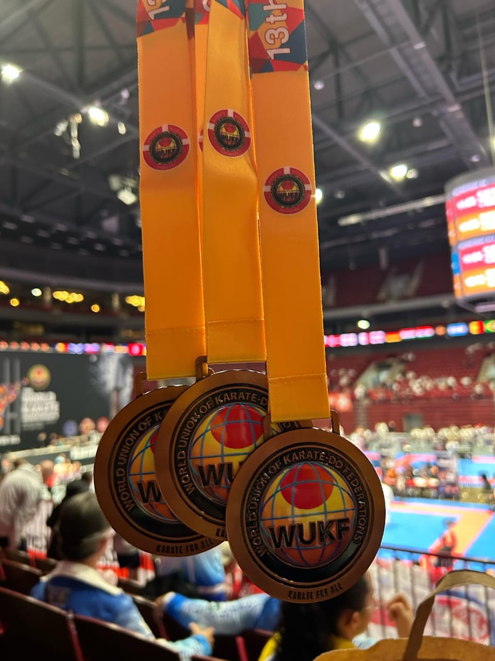 Medalhas WUKF Karate 2025 — Foto: Reprodução/Redes Sociais