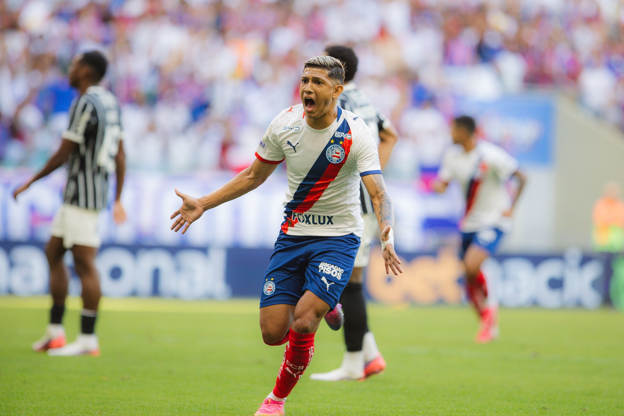 imagem