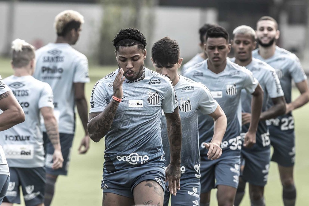 Santos é o único grande clube de São Paulo jogando bem, mas Palmeiras agora  consegue virar partidas, blog do pvc