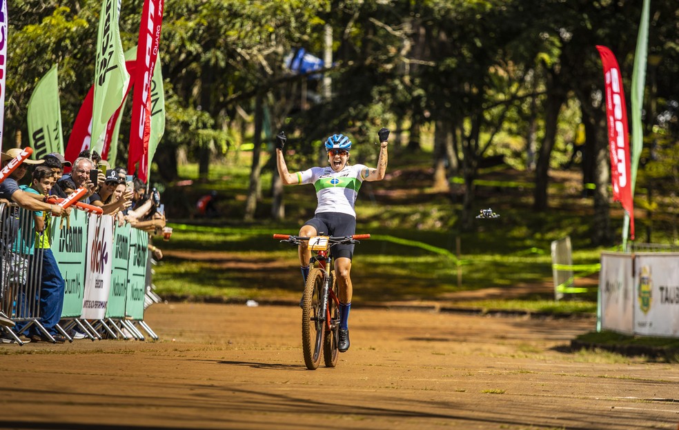 Electric bike sale rankings