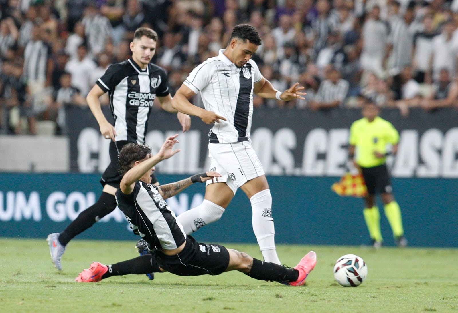 imagem