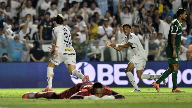 Rollheiser comemora gol em Santos x Palmeiras