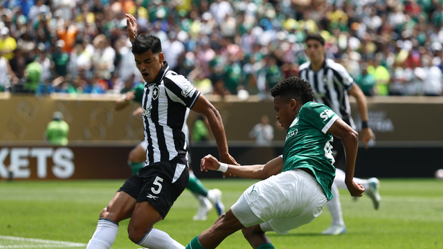 Estevão em Palmeiras x Botafogo