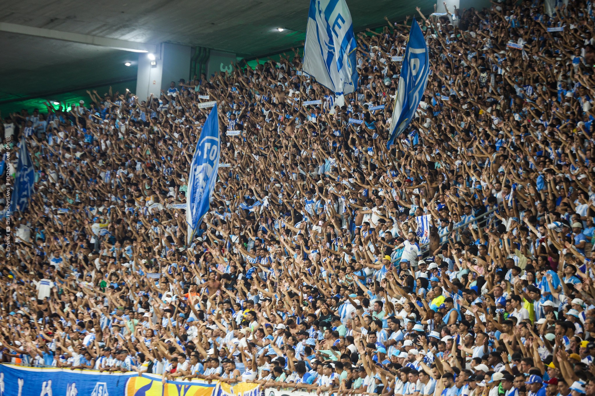 imagem