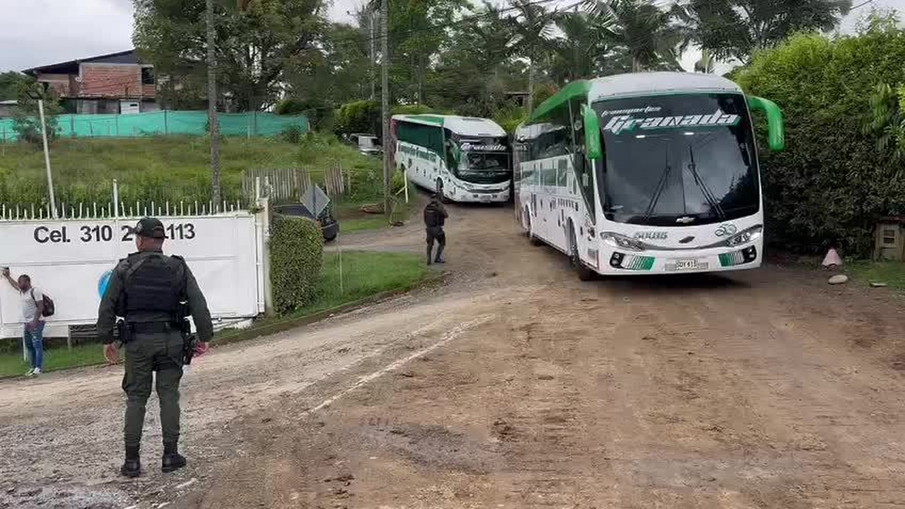 Palmeiras chega em CT em Pereira, na Colômbia, para atividade desta terça-feira