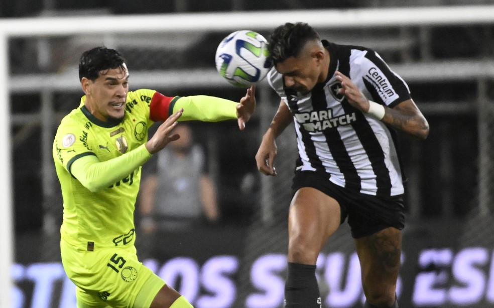 Botafogo x Palmeiras: Tiquinho — Foto: André Durão