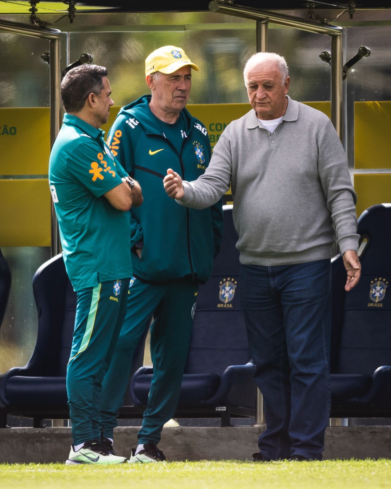 imagem