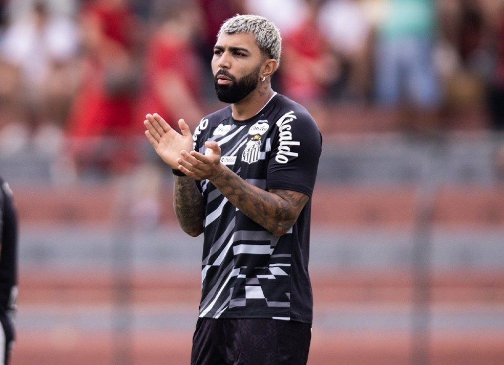 Gabigol Noroeste x Santos — Foto: Douglas Moretti/Ag. Paulistão