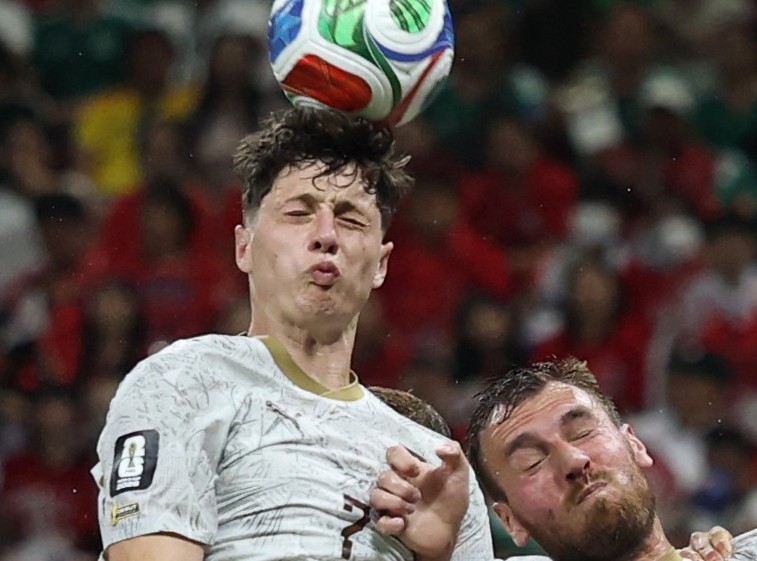Palpites e dicas para República Tcheca x África do Sul pela Copa do Mundo