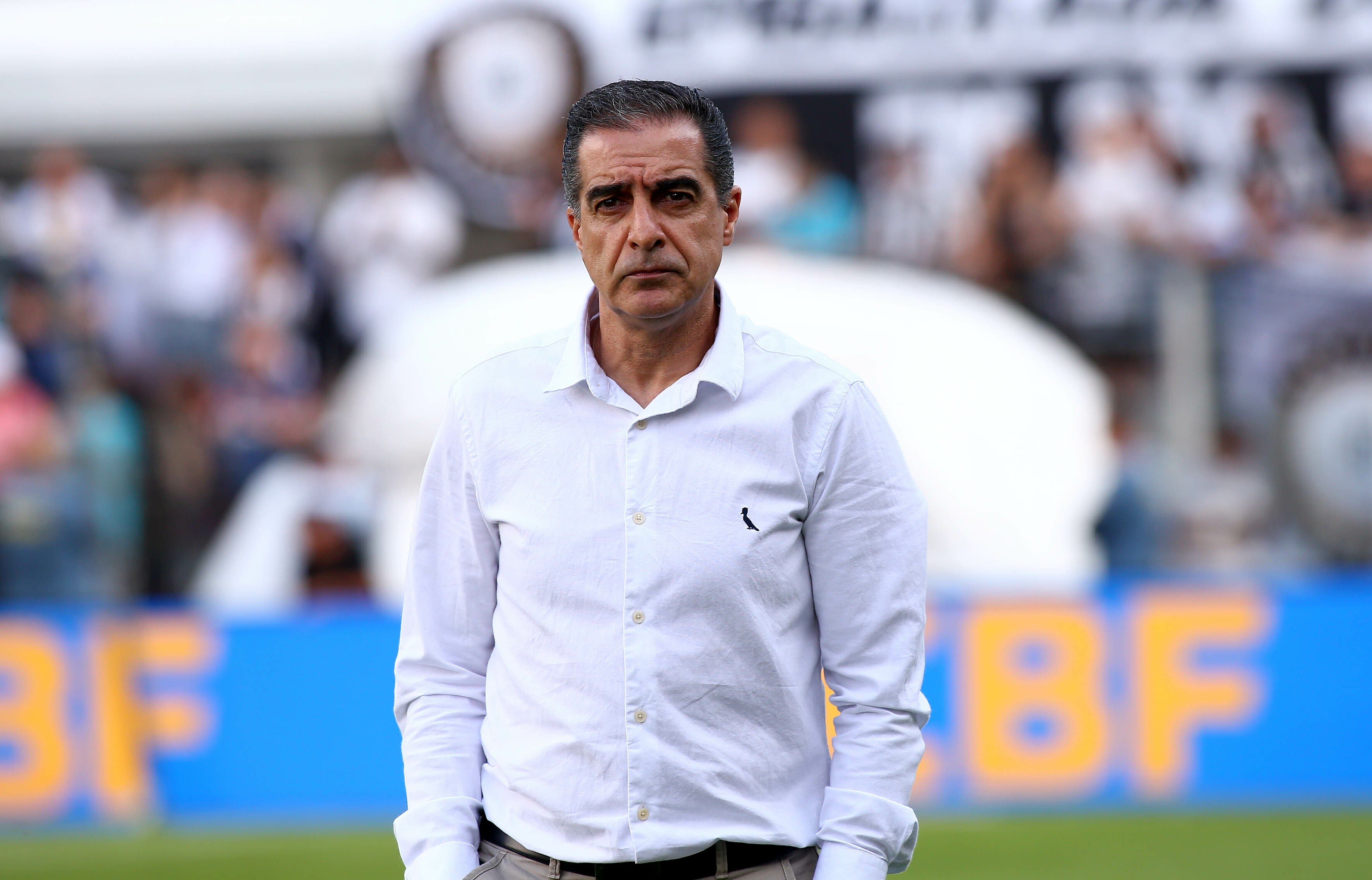 Renato Paiva destaca evolução do Botafogo e defende ideias: “Burro não sou”