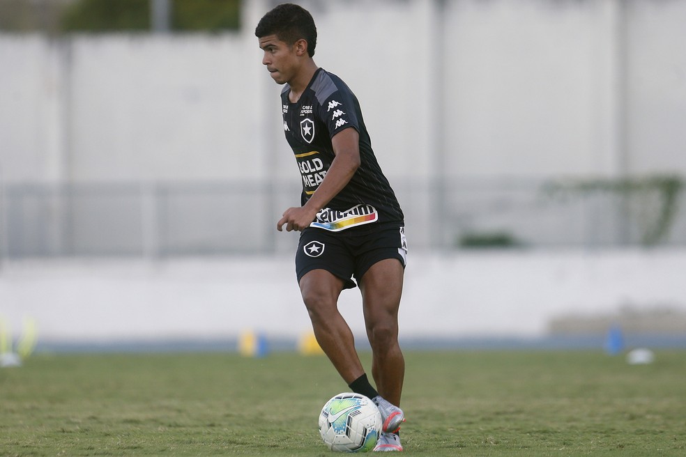 Goiás tem dois desfalques para jogo contra o Botafogo pelo Campeonato  Brasileiro - Fogo na Rede